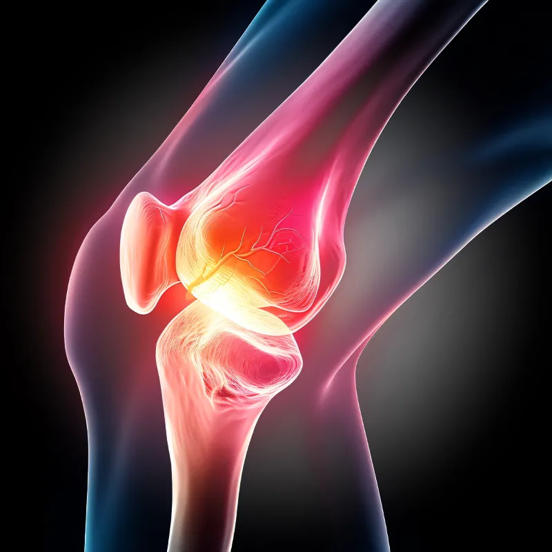 ligament injuries-cat-img